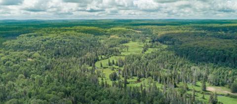 Aerial view of the Black River Ranch forest, a Forest Legacy Program-enrolled property bordering the Pigeon River Country State Forest in Michigan’s northern Lower Peninsula.
