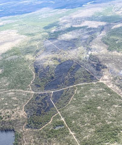 Tomahawk Lake Fire: An aerial view, at roughly 1:30 p.m. Monday, of the land in Presque Isle County burned by the Tomahawk Lake Fire. The fire started late Sunday and is now 90 percent contained.