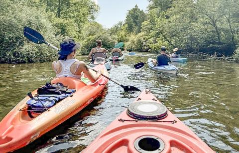 Kayaks and canoes will be paddled toward the finish line during the Race of Two Cities over Memorial Day weekend on the Cedar River.
