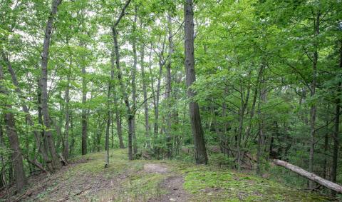 Follow updates on the state land review process at Michigan.gov/PublicLands.