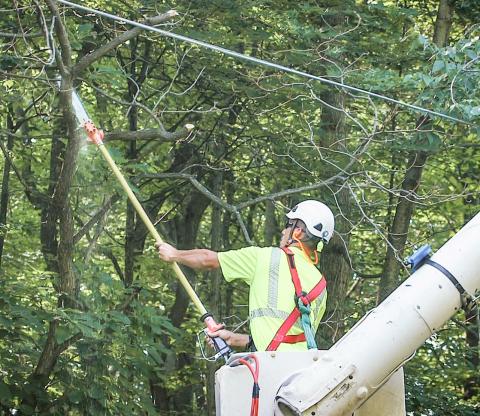 A contractor trimming trees in a utility vehicle uses a long, sharp tool to trim tree branches. CONSUMERS ENERGY