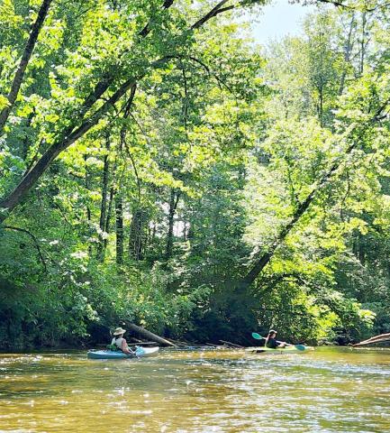Little Forks Conservancy offers free conservation program for landowners