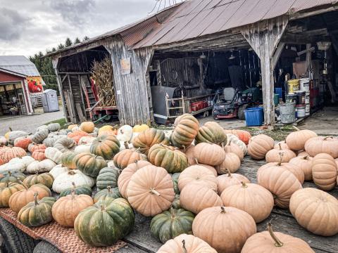Maxwell’s Pumpkin Farm closing after 53 years