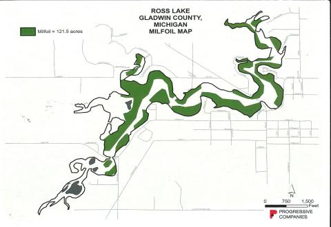 This map of Ross Lake indicates that Eurasian watermilfoil has overgrown 121.5 of the 294-acre lake.