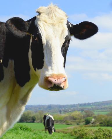 MDARD expands regenerative agriculture work with investment