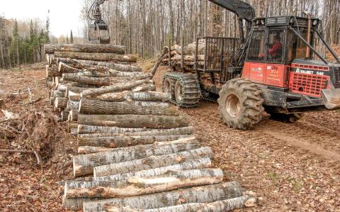 Michigan’s expanding forest products industry contributes more than $26 billion to state’s economy