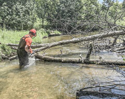 GCD clears Cedar River from Buckeye Trailhead to Ross Lake