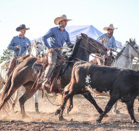 Rodeo packs ‘em in at Fairground