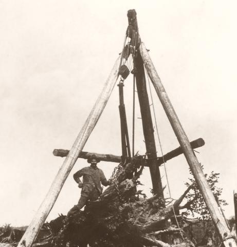 A LOOK BACK IN TIME | STUMP REMOVAL