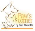 What’s the best age to spay or neuter a dog?