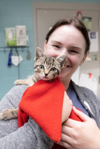 Bipartisan bills signed protecting animals, expanding resources