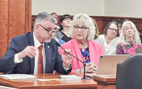 Baldwin Township Clerk Cathy Pittsley testifying in support of HB 4356, introduced by Representative Mike Hoadley, a bill that would require the Secretary of State to remove certain electors from the qualified voter file who have not voted in 10 years or more.