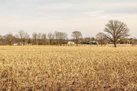 Utility-scale solar farm proposals cause turmoil in Livingston County