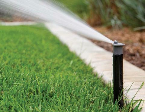 How to Grow a Greener Lawn