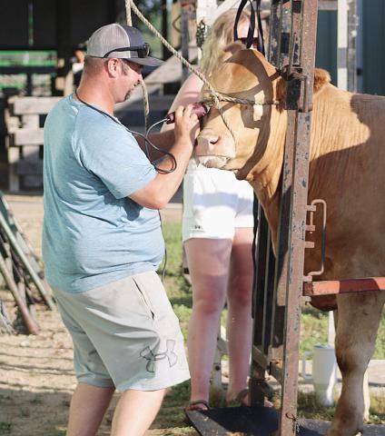 The barns and grandstand were already buzzing with activity on Monday, the first day of events at this year’s Gladwin County Fair.