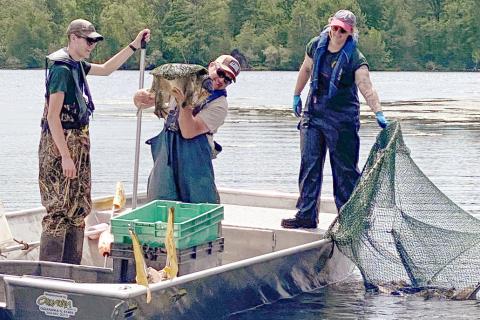 DNR SURVEY FISH ON WIGGINS LAKE