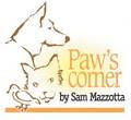 My dog has cancer. What next?
