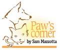 What happens when my dog gets Lyme?