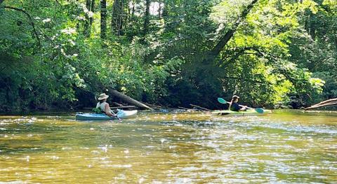 Little Forks Conservancy offers free conservation program for landowners