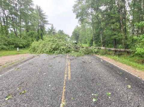 EF-1 tornado touches down in Gladwin County