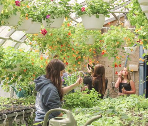 GHS 25th annual Plant Sale May 10
