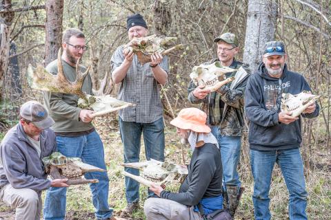 Moose lessons: What they can teach us about human aging