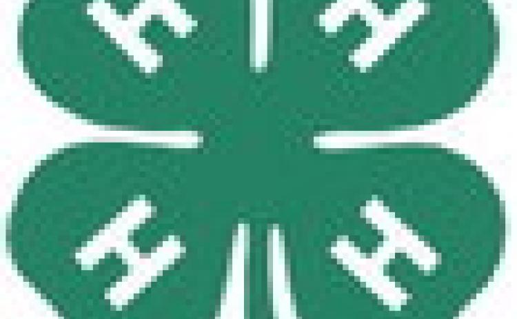 Gladwin County 4-H Fish Fry Fundraiser