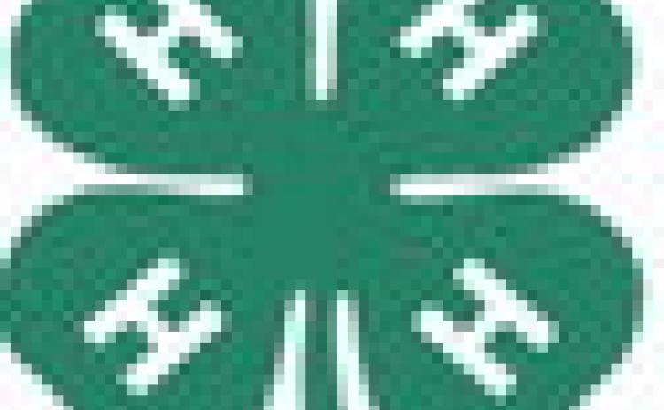 4-H Winners 2024