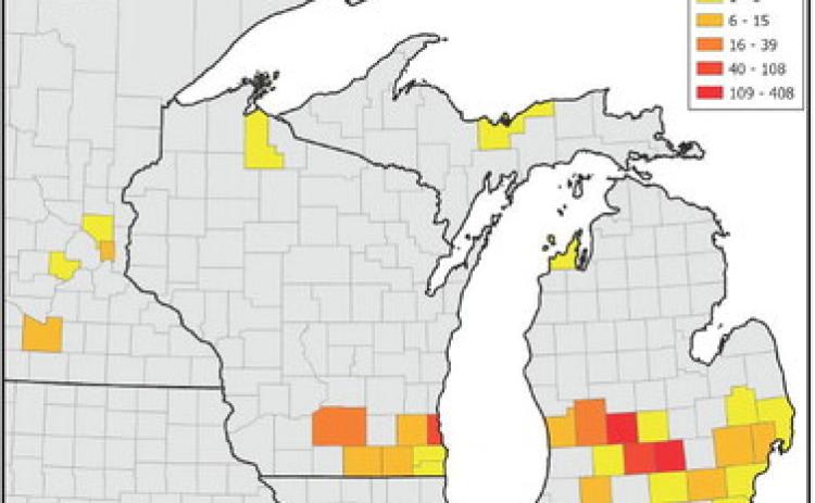 A heat map of lesser celandine infestations by county in Michigan, Wisconsin and Minnesota. MIPN