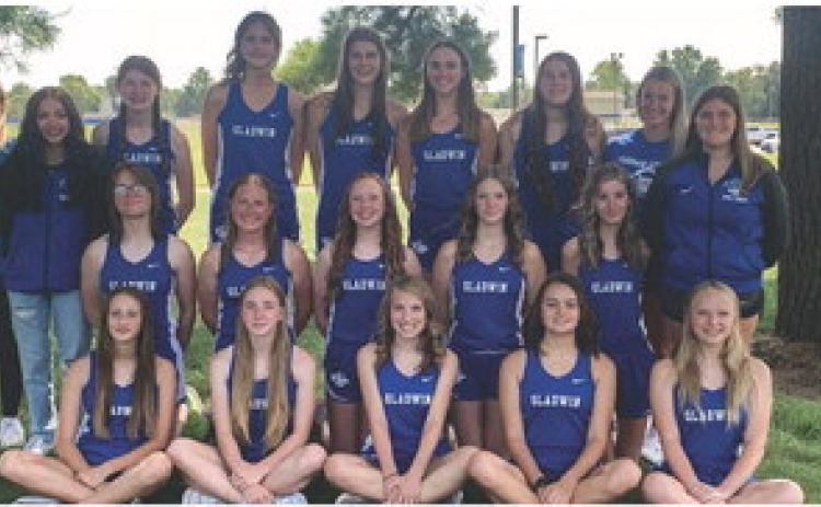 Gladwin Girls Cross Country