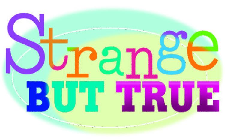 Strange BUT TRUE