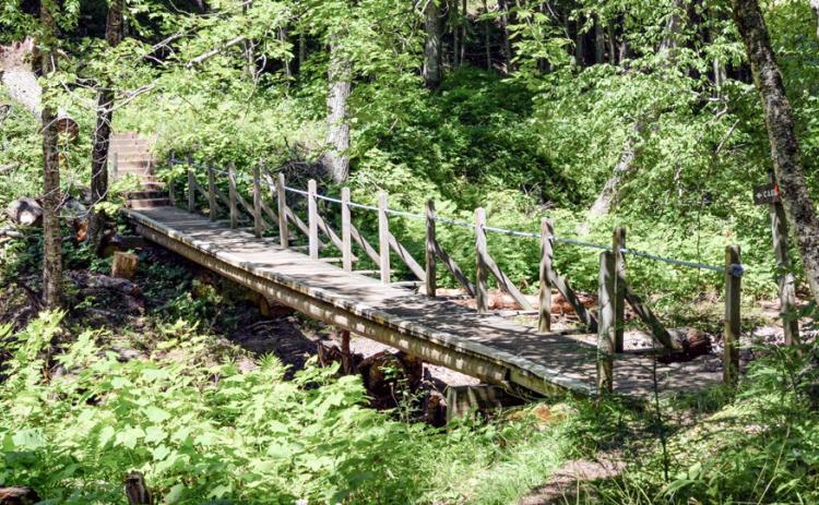 A wooden bridge along a trail in a lush, green forest at the Porcupine Mountains is shown.