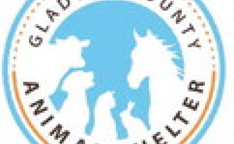 Gladwin County Animal Shelter seeks new Advisory Committee Members
