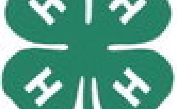 Gladwin County 4-H Fish Fry Fundraiser