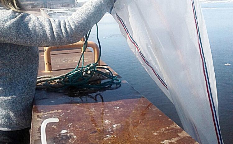 Scientists find proof of invader established in Lake Superior