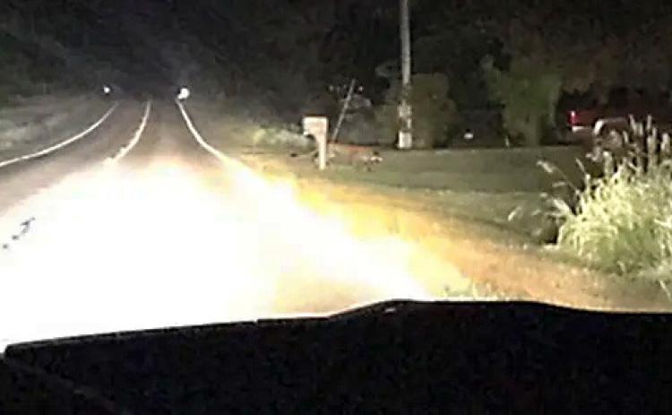 The Michigan Department of Natural Resources (DNR) confirmed a cougar photo, at the Rose Lake State Wildlife Area, in Bath Township, near Lansing, in 2017. PHOTO BY MICHIGAN DEPARTMENT OF NATURAL RESOURCES