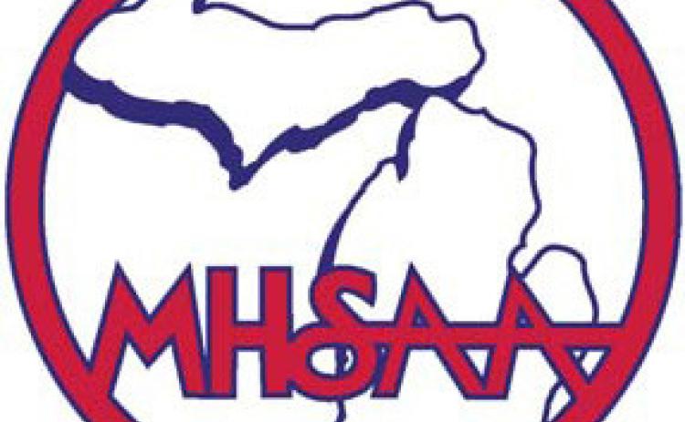 MHSAA adds girls’ team wrestling tournament