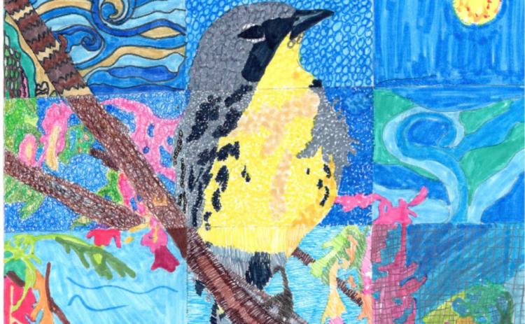 Nakiah C., a seventh grader from Deep Creek Middle School on Eleuthera, The Bahamas was selected as the 2023 Kirtland’s Warbler Young Artists Contest first place winner. This year’s contest saw 900 entries, which is an increase over previous years.