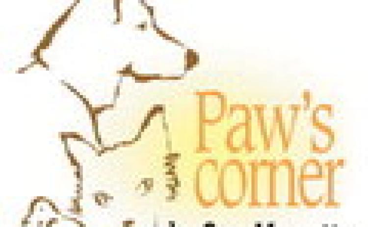 Keep dogs leashed on the trail