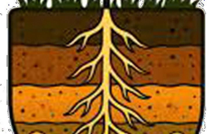 “Soil. Where it all Begins” contest announced