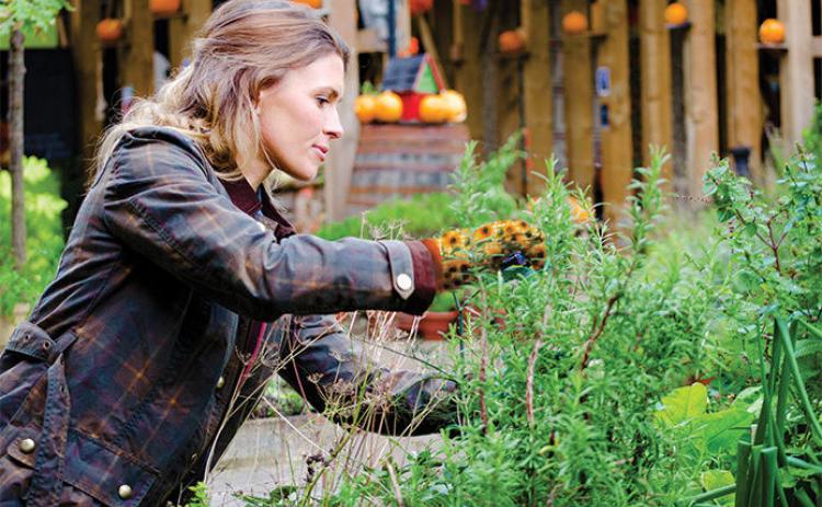 Fall Yard Cleanup Tips