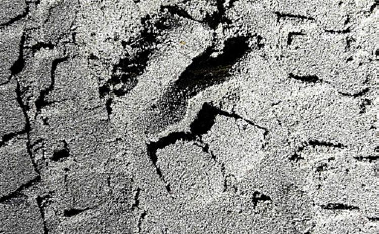 An officer tracked a missing tuber’s footprints along the Au Sable River near Roscommon and into the woods before the man was located by emergency responders.