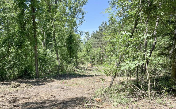 Trail of Two Cities begin extension construction