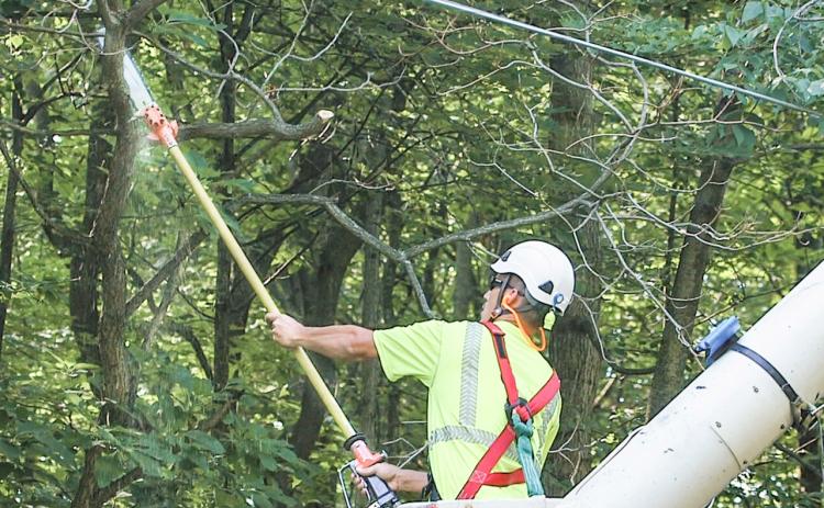 A contractor trimming trees in a utility vehicle uses a long, sharp tool to trim tree branches. CONSUMERS ENERGY