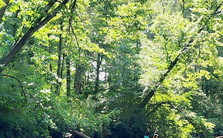 Little Forks Conservancy offers free conservation program for landowners