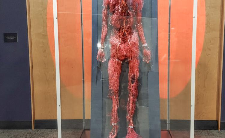 Beaverton students visit Sloan Museum