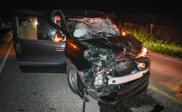 Late night accident with Amish buggy sends two for medical assistance