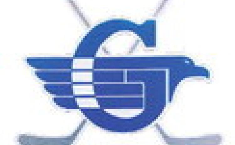 Gladwin hockey team splits two games at showcase
