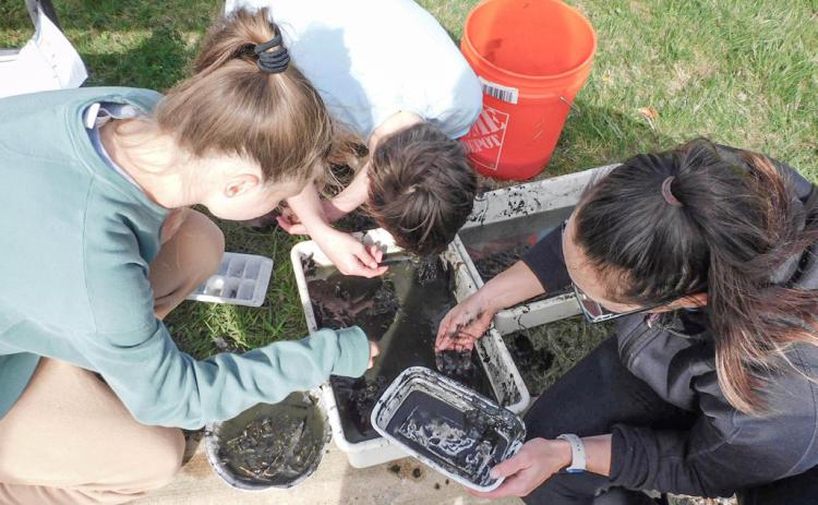 Skyline High School students collecting data during their annual pond project testing the school’s pond water quality ASHLEY HAN