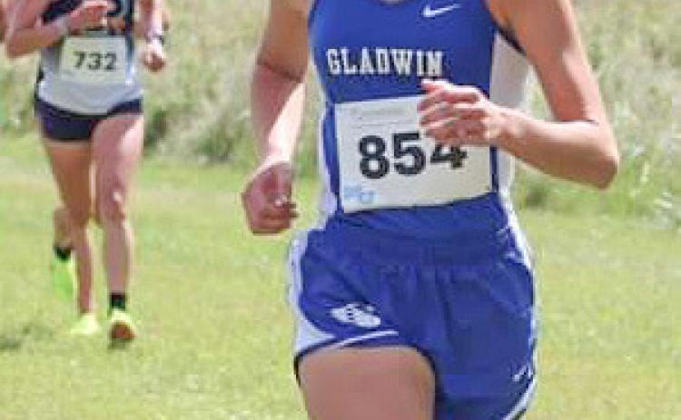 Gladwin’s Robinson races up the charts at Northwood Invite